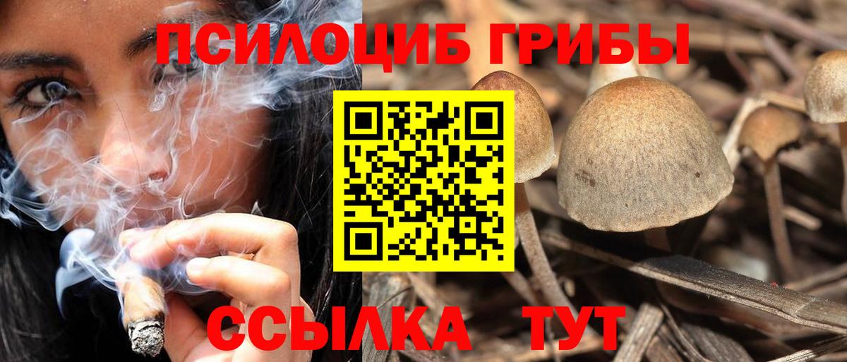 Приморско-Ахтарск  Галлюциногенные грибы GOLDEN TEACHER  Галлюциногенные грибы MAGIC MUSHROOMS  Вход с VPN 
